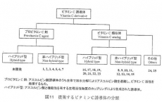 顺水的鱼MT4外汇EA智能交易系统